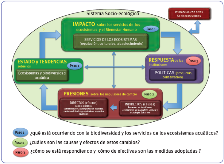 Metodología EME-PEsca
